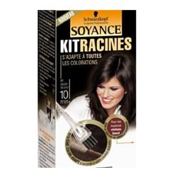 kit racines pour camoufler les cheveux blancs